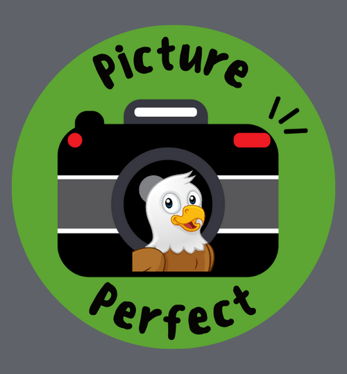 Clipart camera and eagle with the words "Picture Perfect" surrounding them.